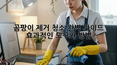 곰팡이 제거 청소 완벽 가이드: 효과적인 도구와 방법